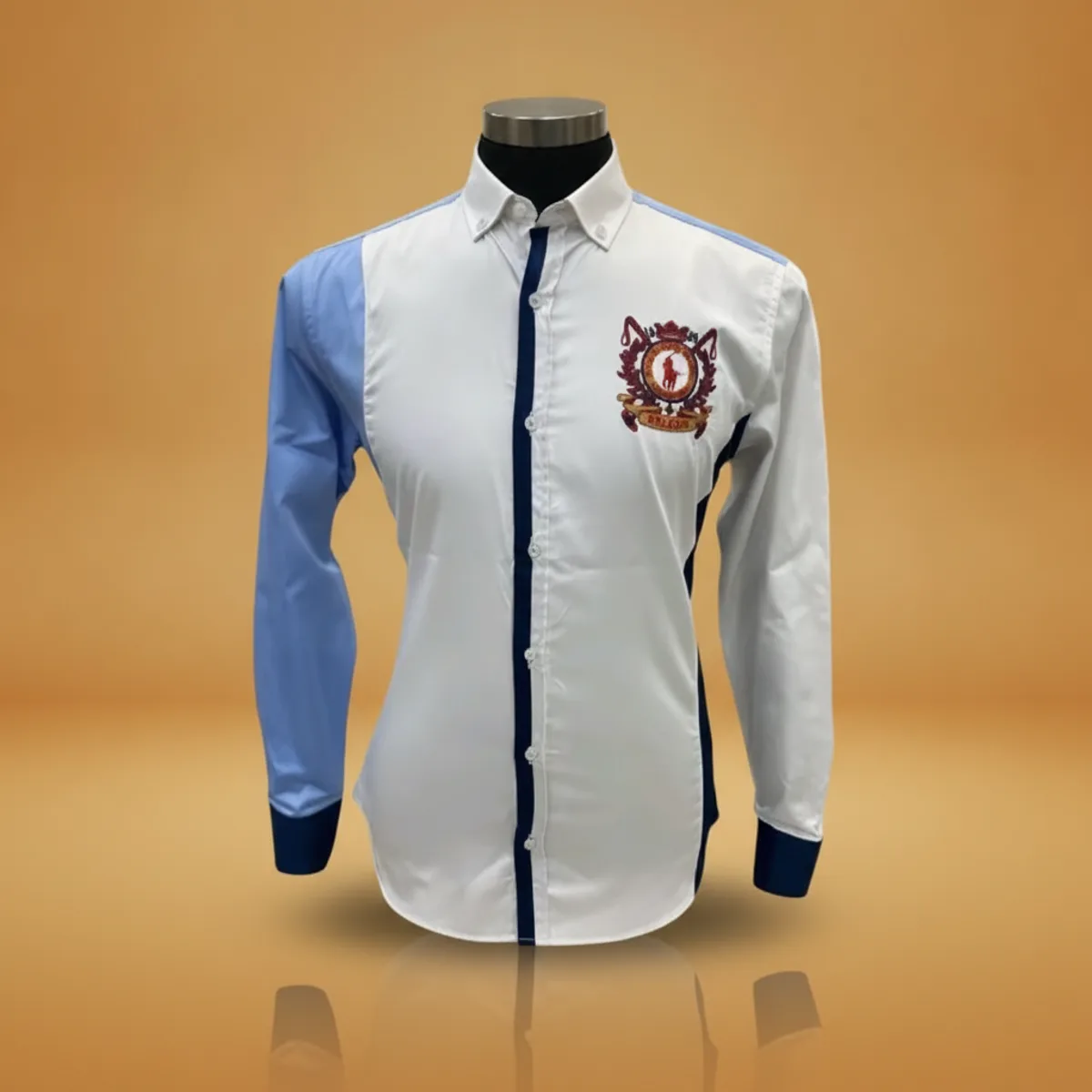 Chemises Homme