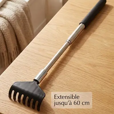 Tige à gratter télescopique